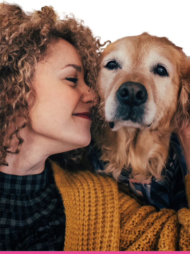 Image of various pets